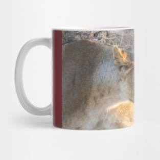 Namibia. Etosha National Park. Queen Lioness. Mug